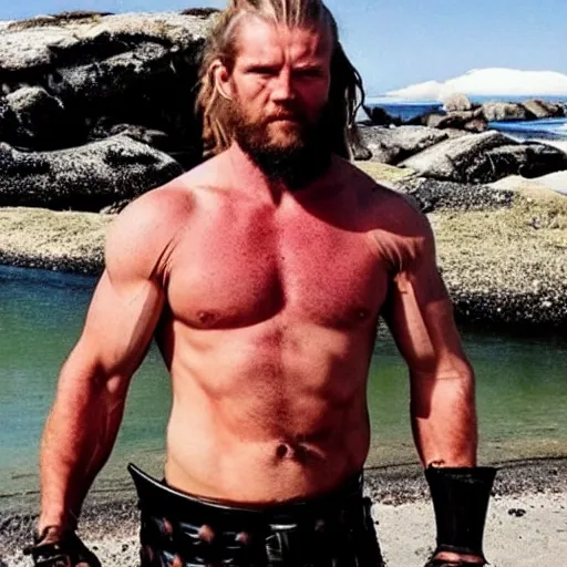 muscular viking who has armor and killer look, on norwegian beaches