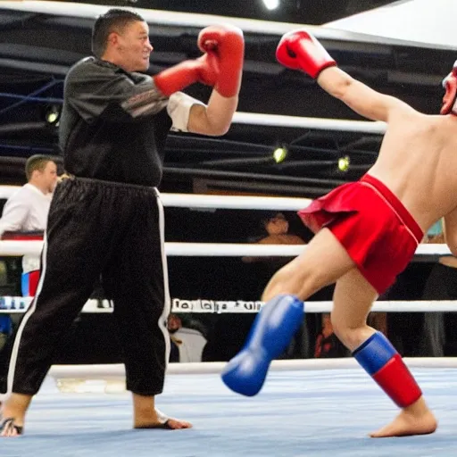 A Yak Fighting a Llama in Kickboxing