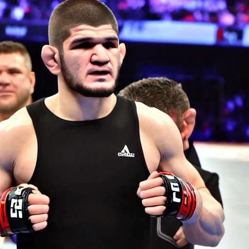 Khabib Nurmagomedov - Arthub.ai